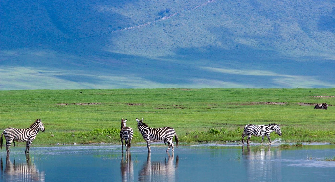 Ngorongoro