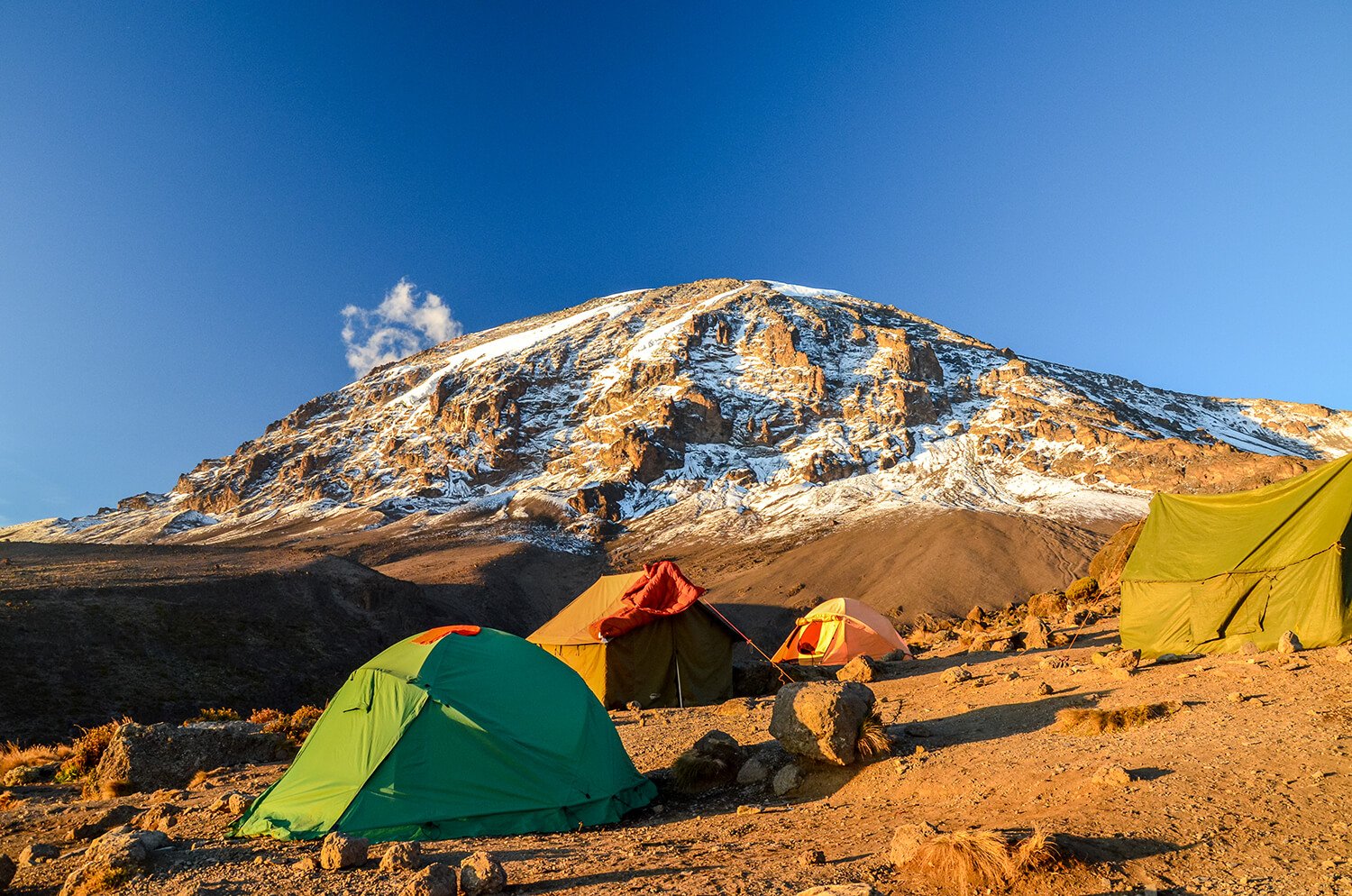 shutterstock_520696192 (1)