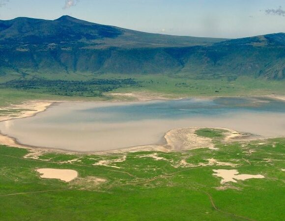 Ngorongoro