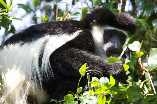 ARUSHA NATIONAL PARK