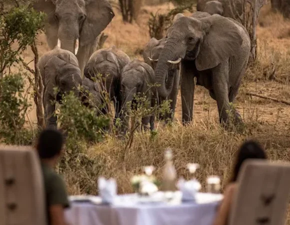 Tarangire National Park: Things to Do