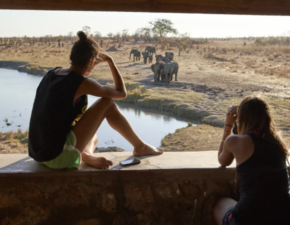 7 Days Luxury Safari Tanzania