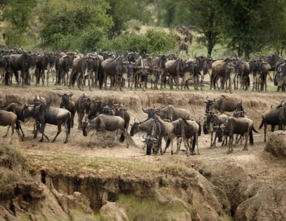 Serengeti National Park