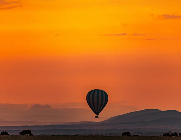 Balloon Safari