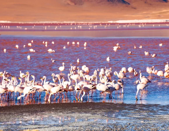 Lake Natron Adventurous