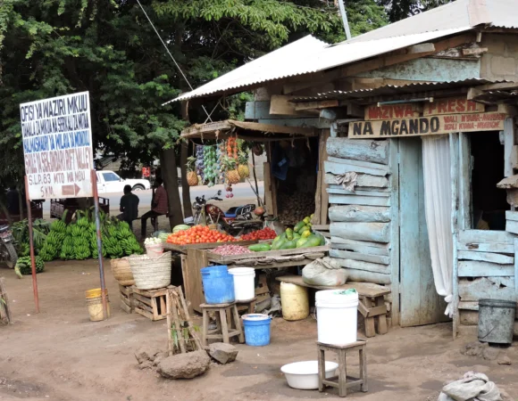 Mto Wa Mbu Village