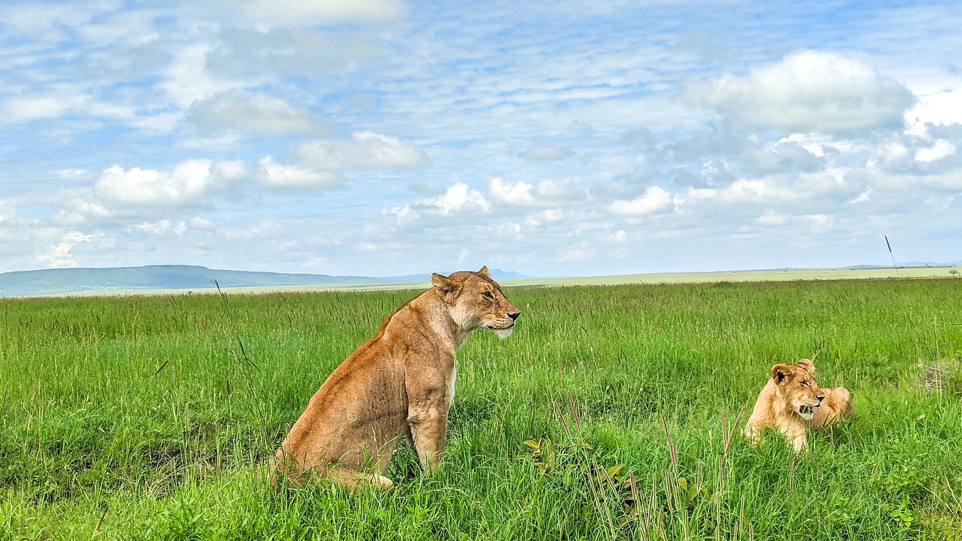 Serengeti-National-Park