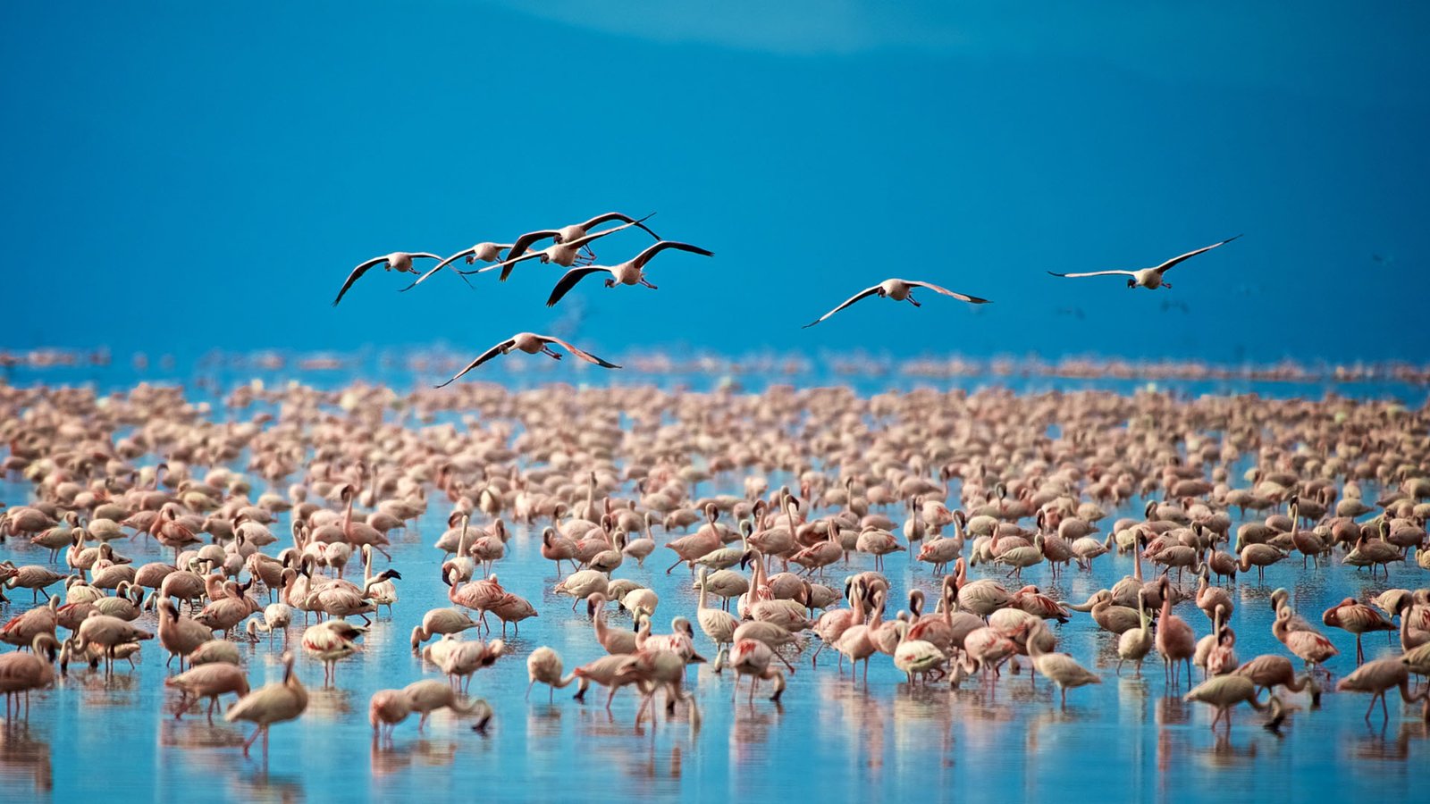 lake-manyara-national-park-banner