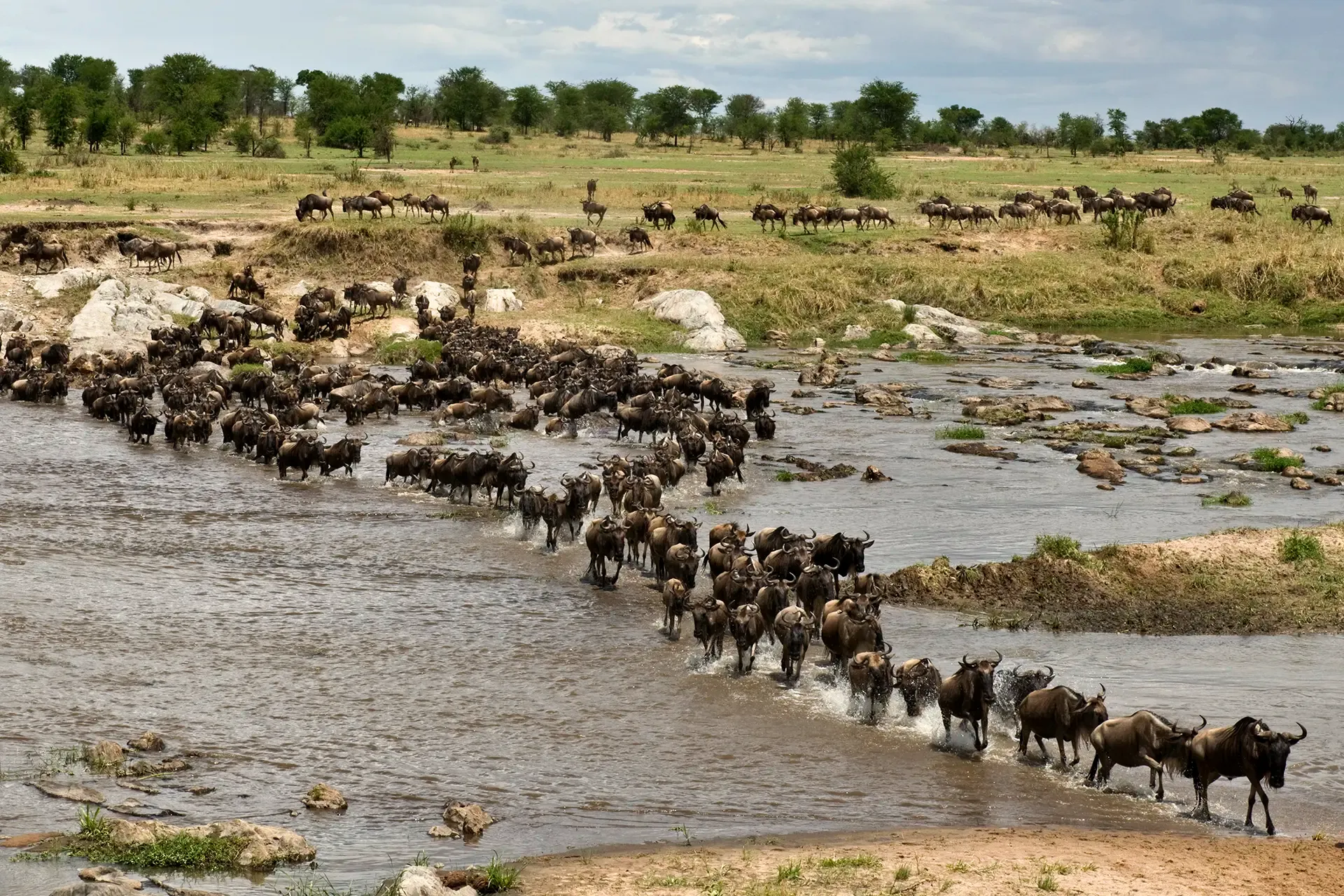 imageye___-_imgi_33_wildebeest-crossing-river-mara-serengeti-nationa-park